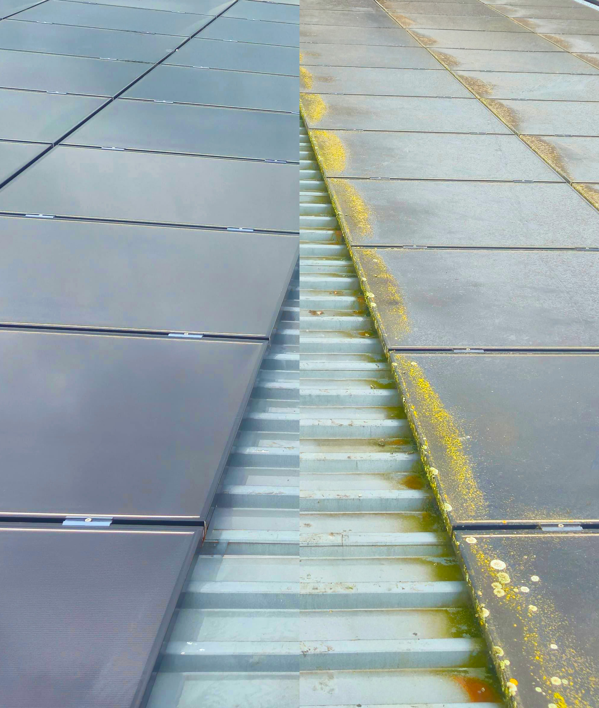 Reinigung Solaranlagen 9